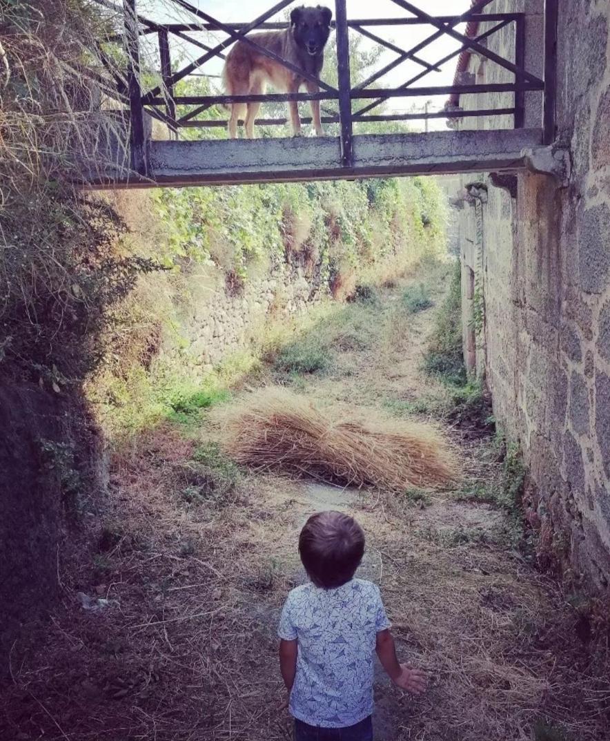 Casa Da Moiroa Villa Sendim  Kültér fotó