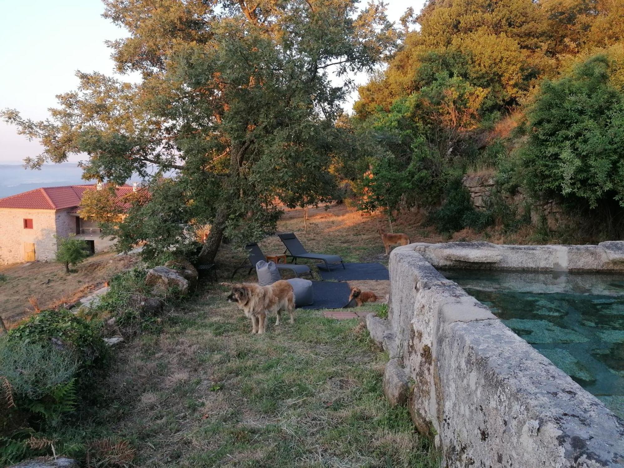Casa Da Moiroa Villa Sendim  Kültér fotó